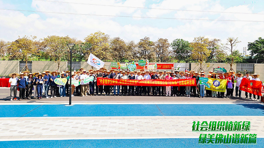 党建聚合力 协会添新绿 —— 协会积极组织会员参与公益红树林植树活动